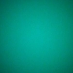 Meet your Posher, Dale